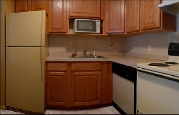 Virtual Walk Throughs